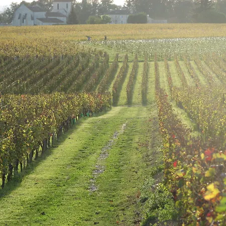 Casa de hóspedes La Du Château Belloy Saint-Michel-de-Fronsac